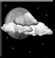 Friday Night: Mostly Cloudy then Chance Rain Showers